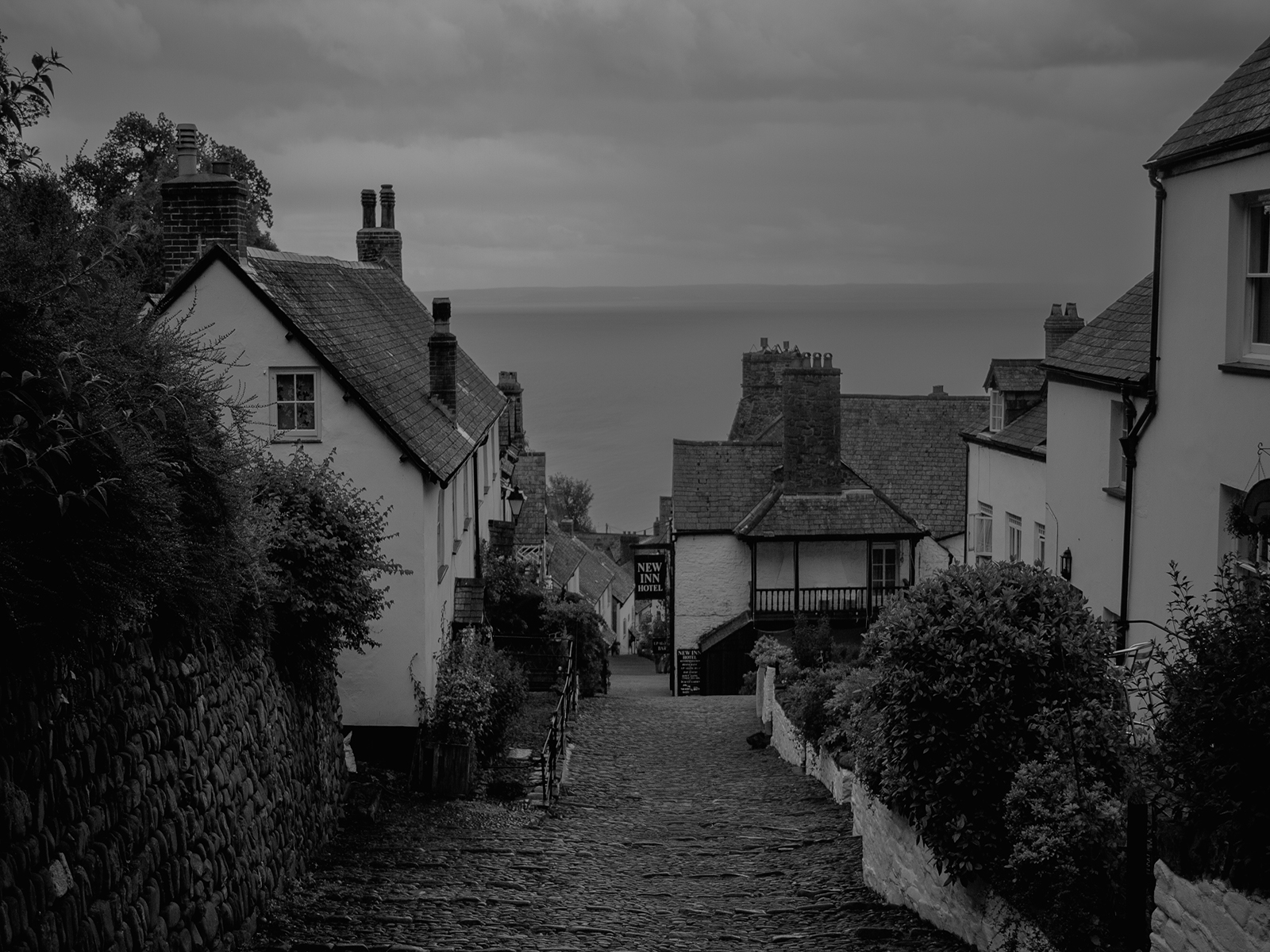 Clovelly Main Street by John Scott