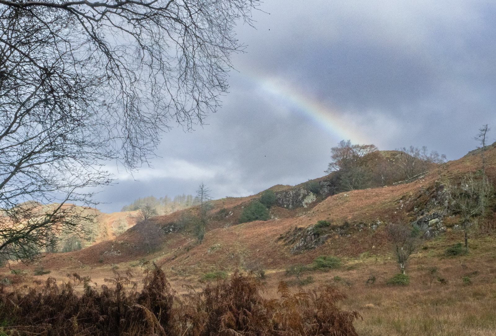 Spectrum by Jennifer Wolstenholme — Score: 15 pts