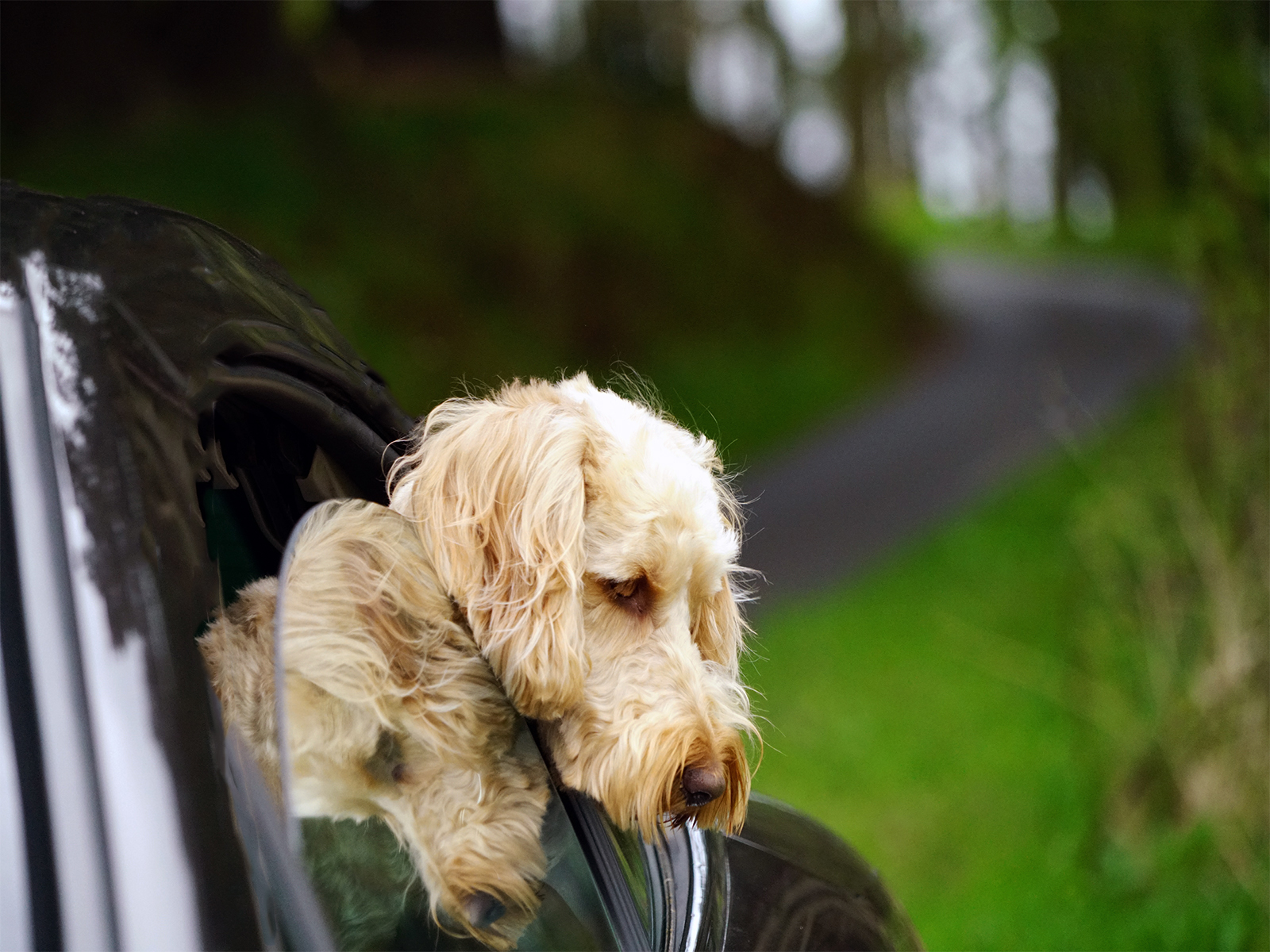 Double-headed by Janet Coulson — Score: 16 pts