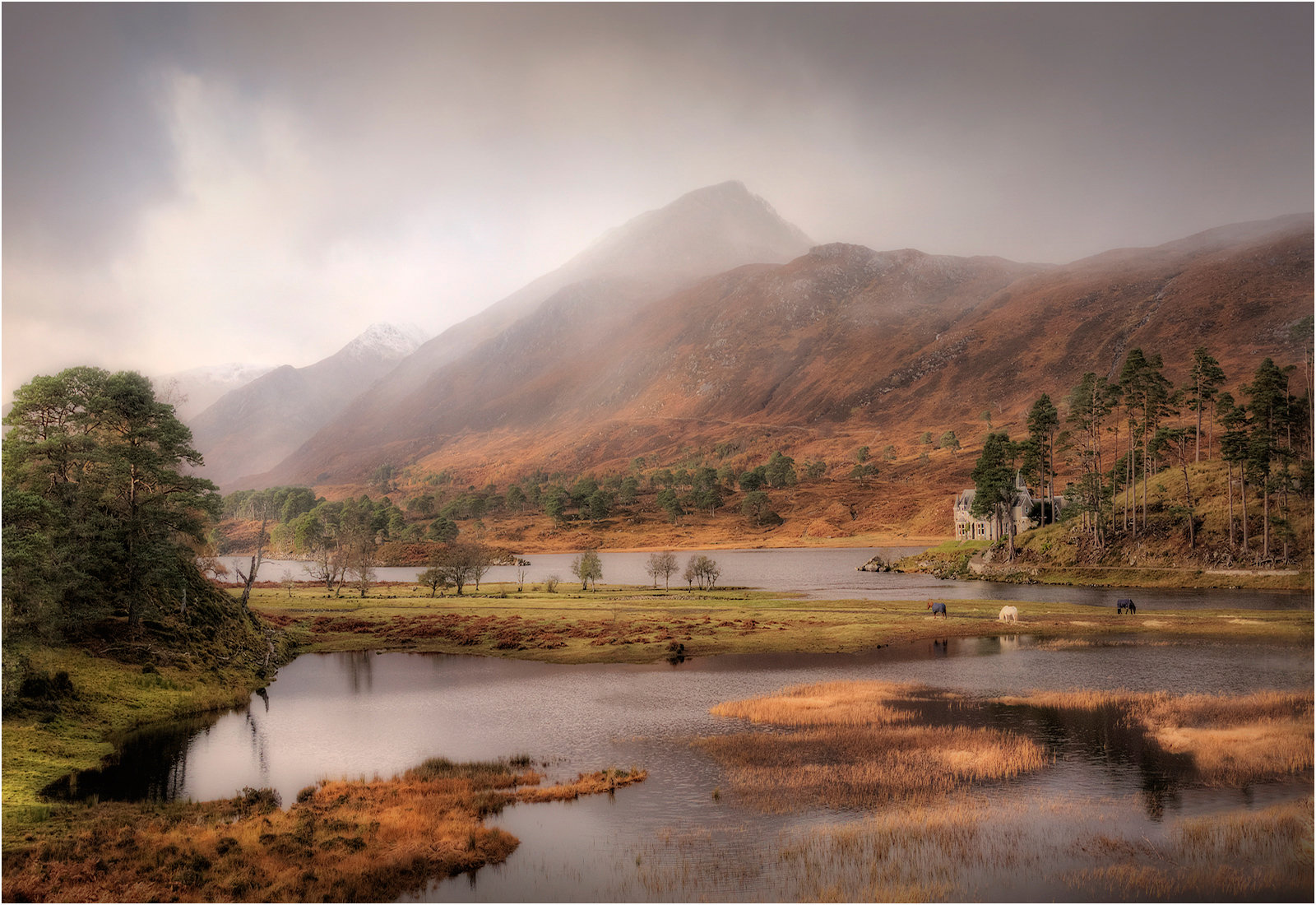 Glenn Affric Lodge And Forest by Mike Williamson — Score: 17 pts