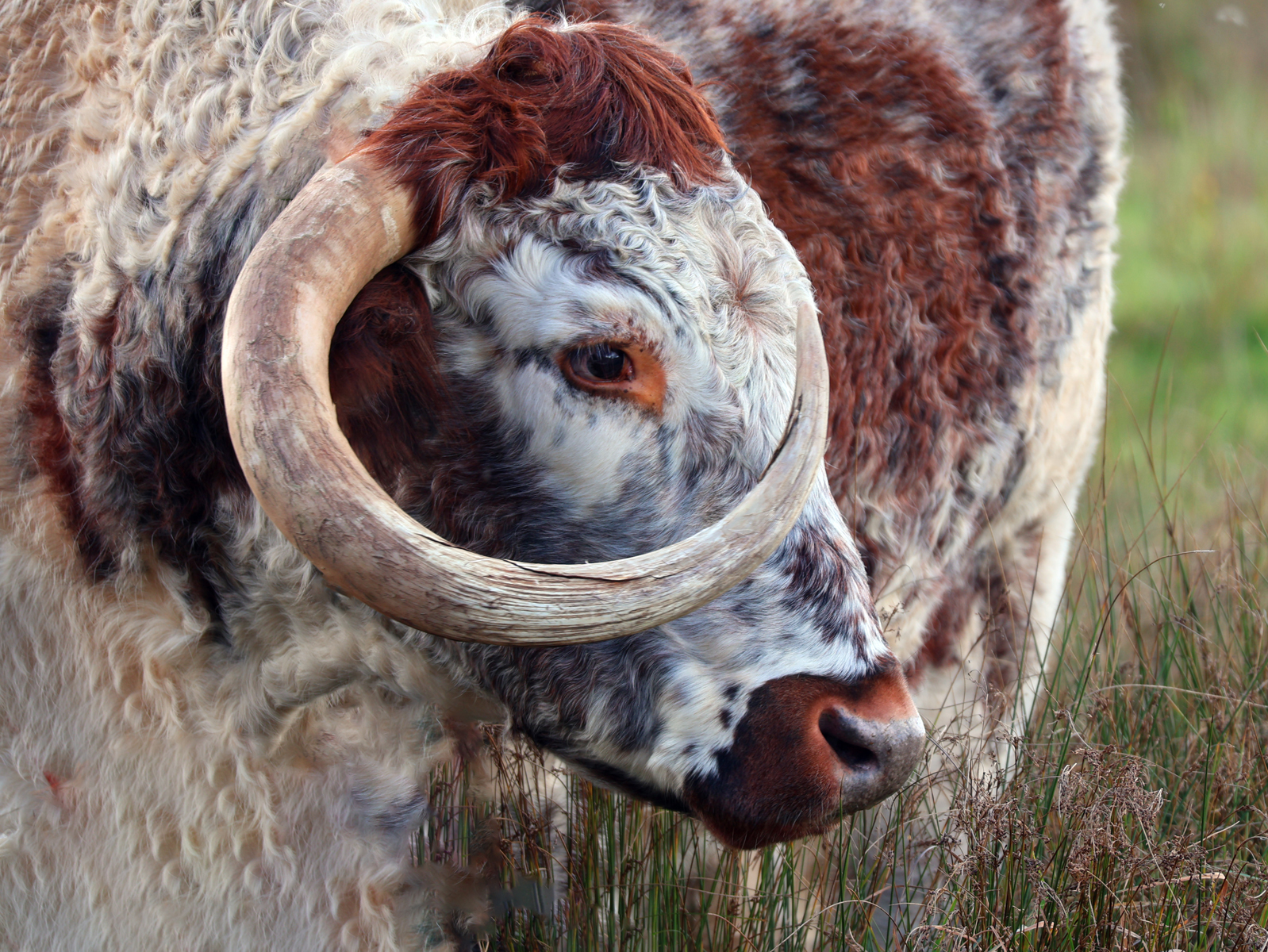 Bullseye by Janet Parker — Score: 19 pts