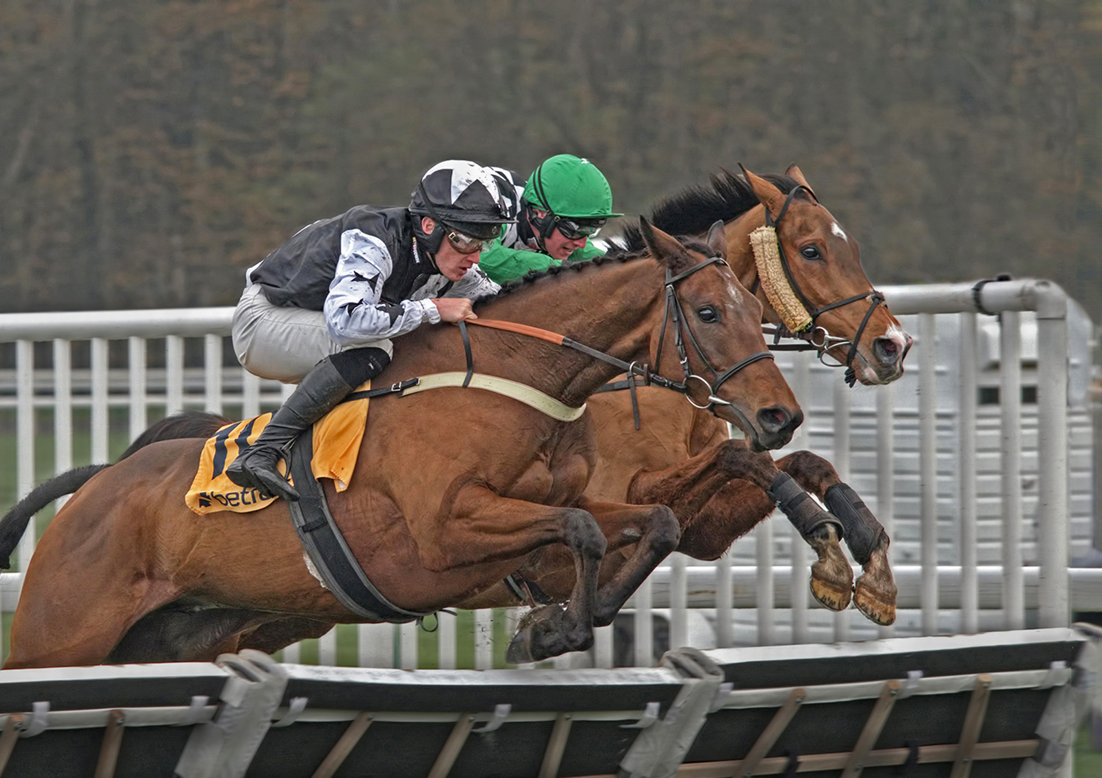 In Unison by Brian Clark — Score: 17 pts