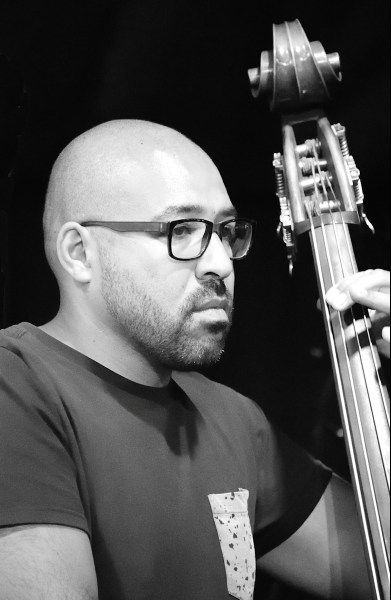 Portrait Of A Bass Player by Dave Biggs — Score: 17 pts