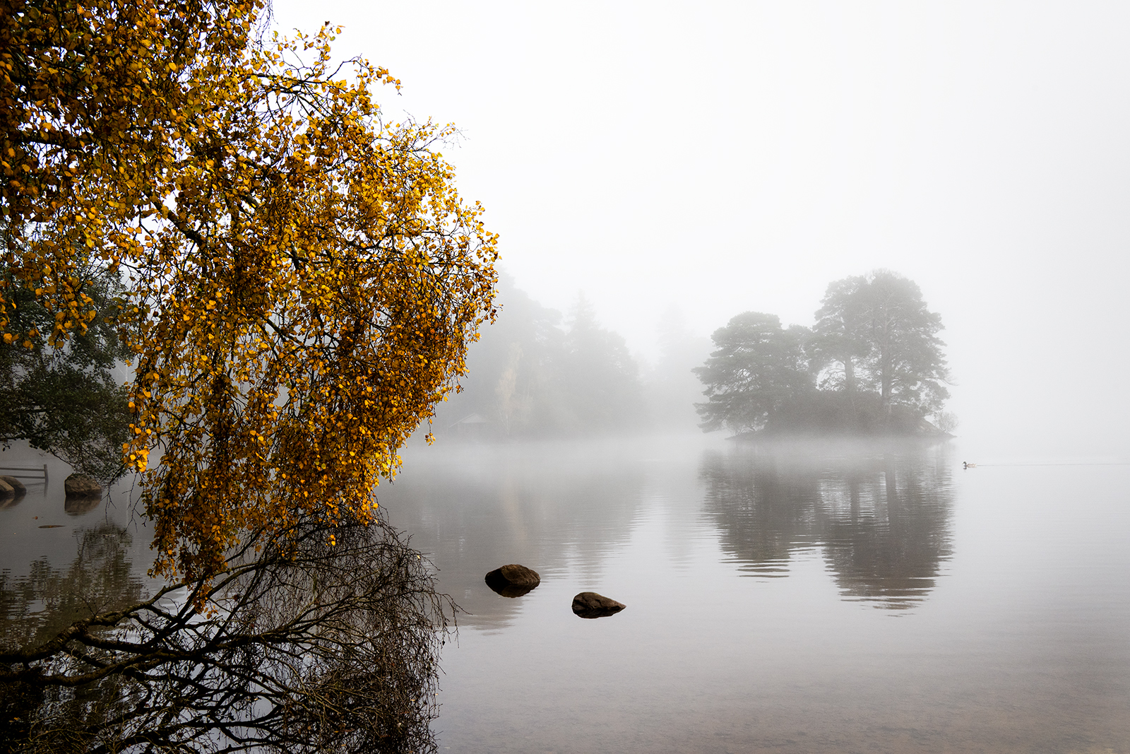 Autumn Mist Over Otter Island by Elaine Cook — Score: 17 pts