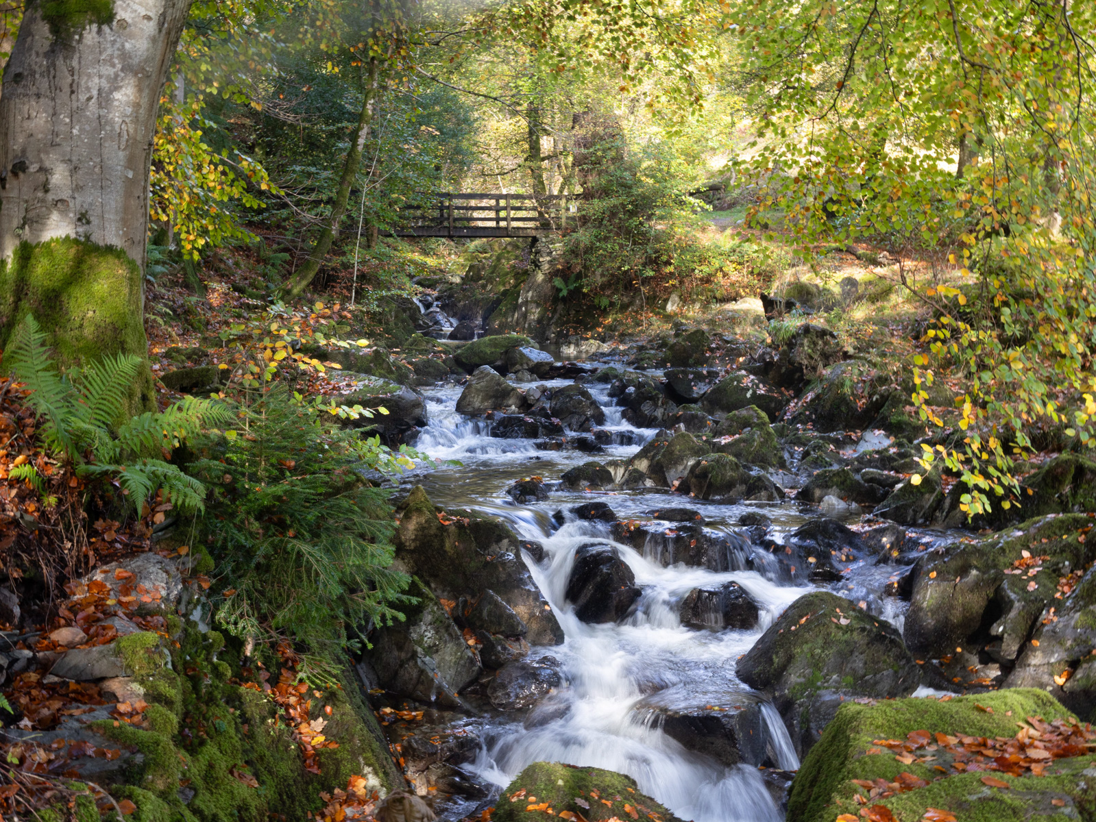 Autumn At Rydal by Karen Jackman — Score: 16 pts