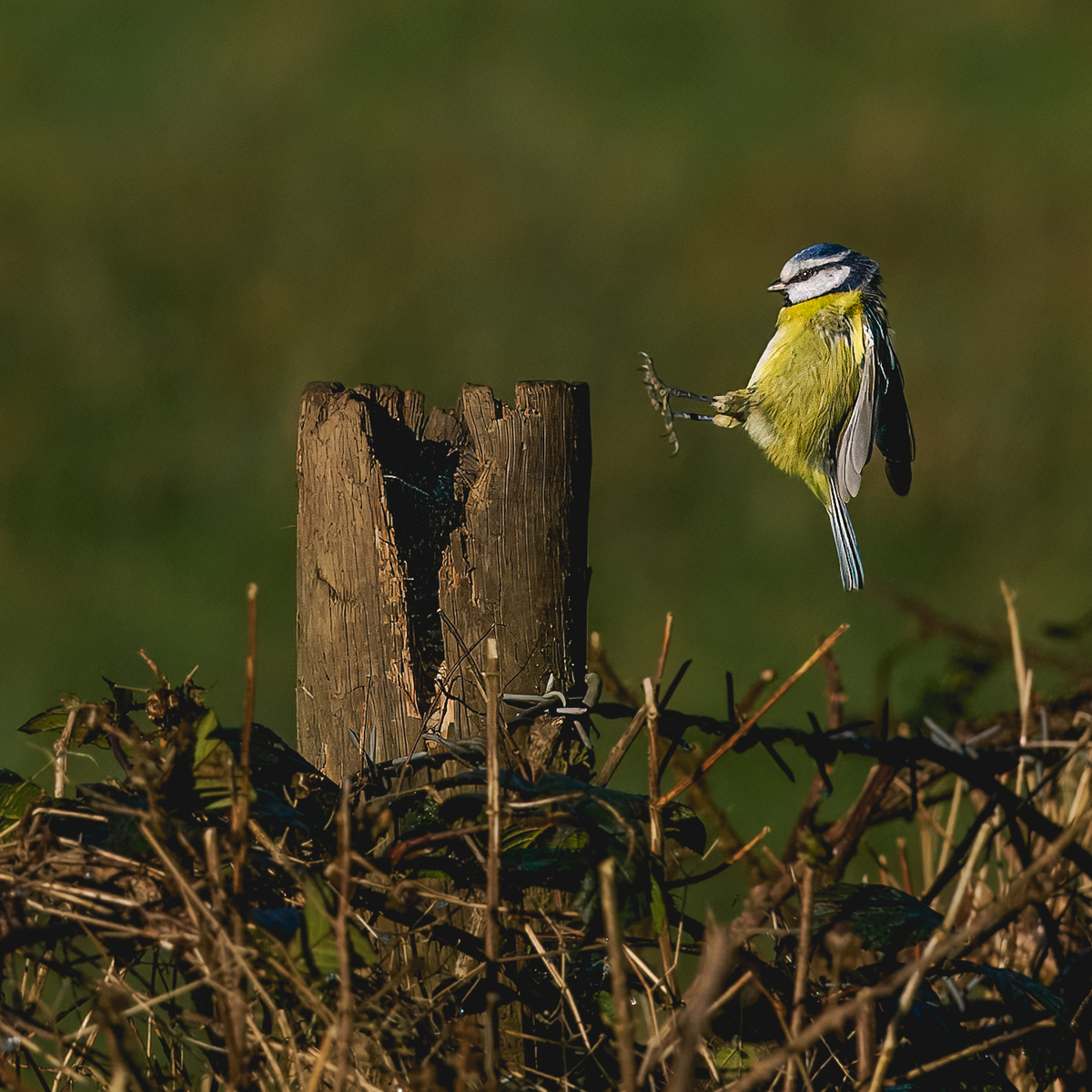 Final Approach by Mike Halstead — Score: 19 pts