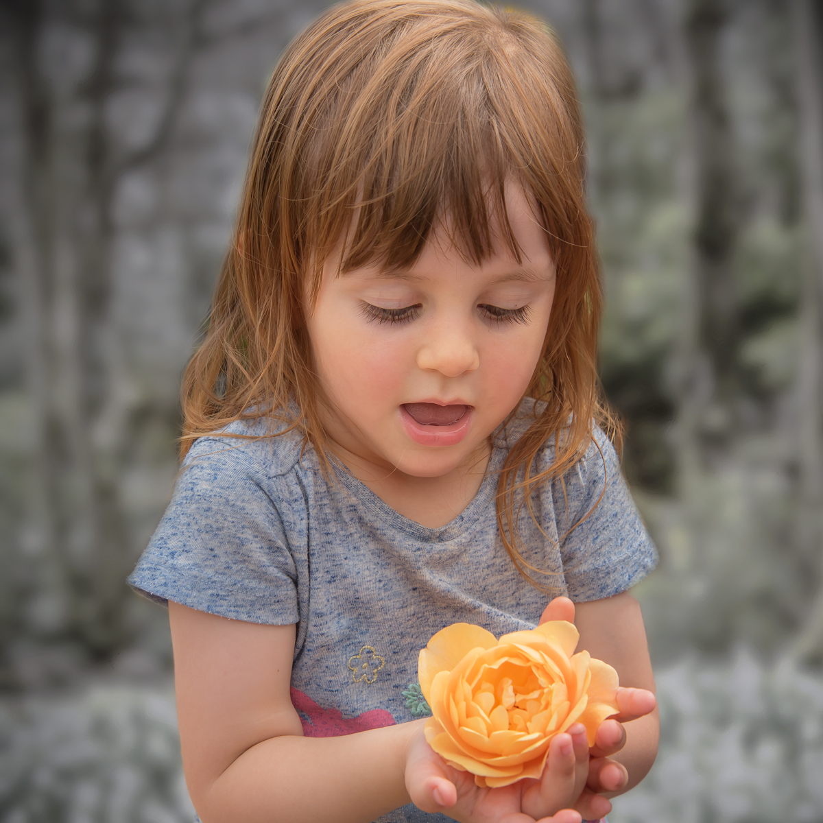 A New Rose by Simon Ray — Score: 15 pts