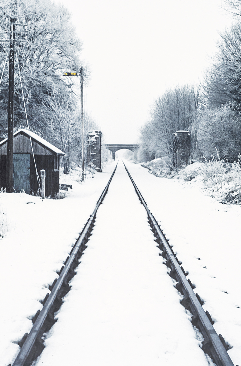 Snow Trains Today by Simon Ray — Score: 17 pts