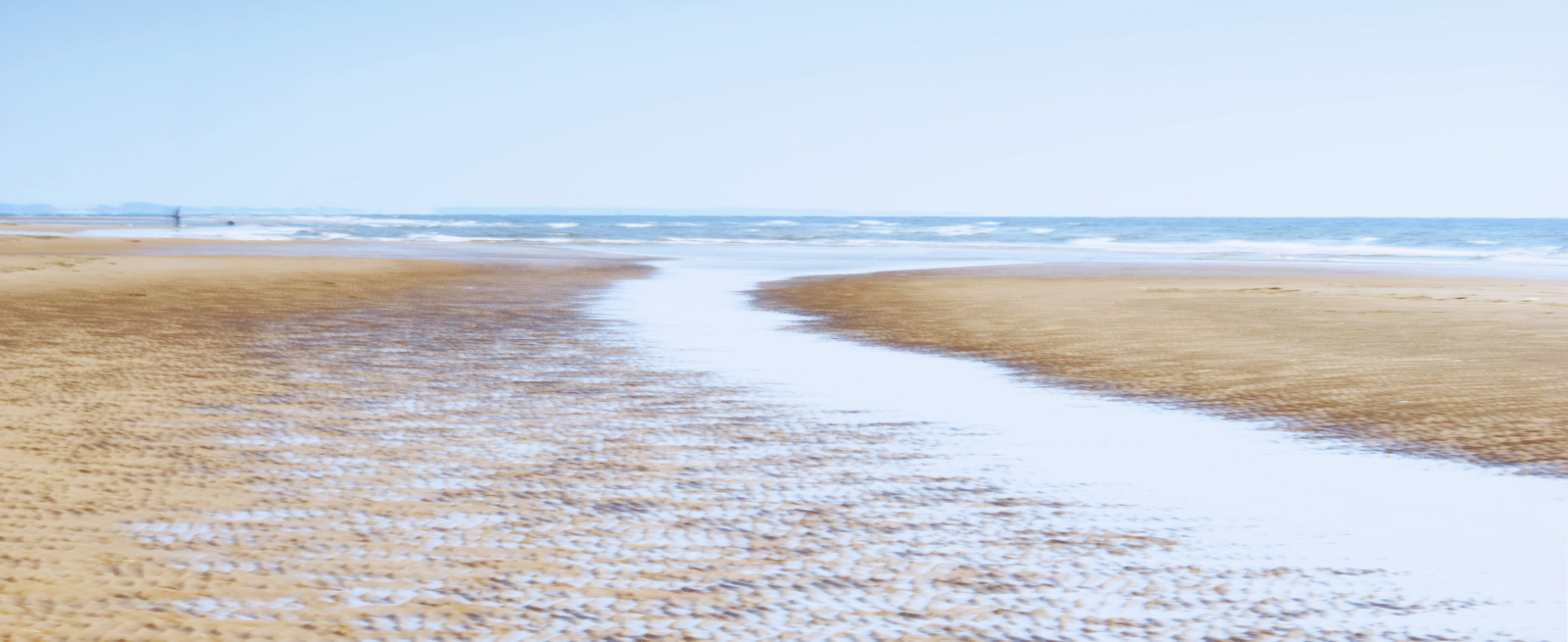 Solitary Dog Walk by Joy Swarbrick — Score: 14 pts