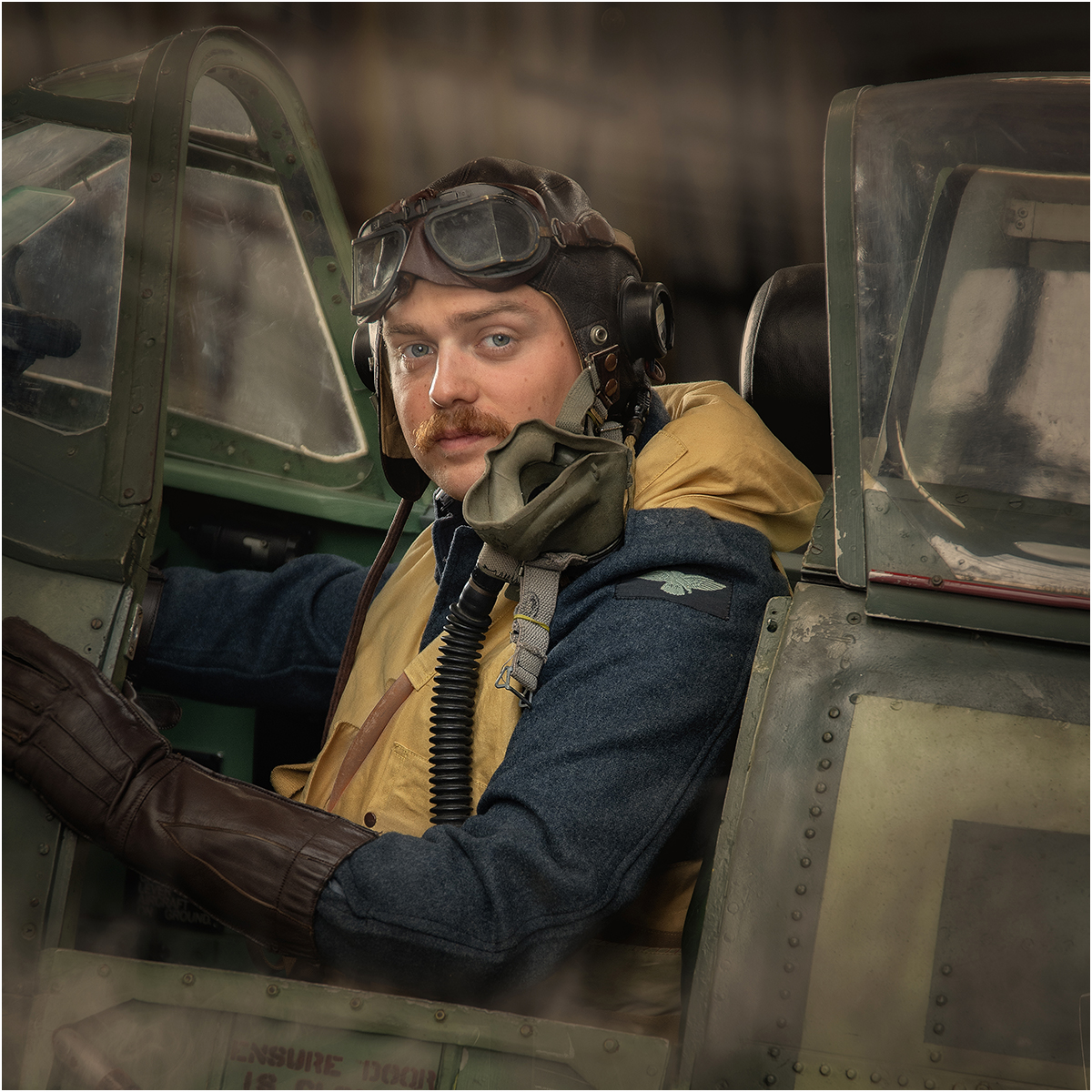 Spitfire Pilot by Mike Williamson — Score: 20 pts