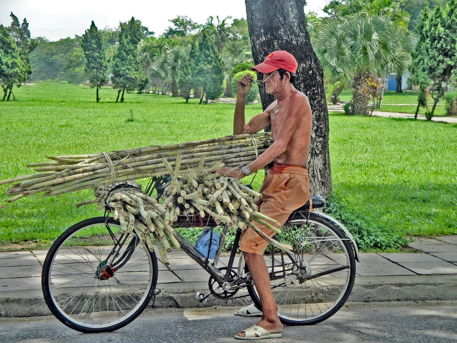 The Bamboo Vendor by Janet Parker — Score: 13 pts
