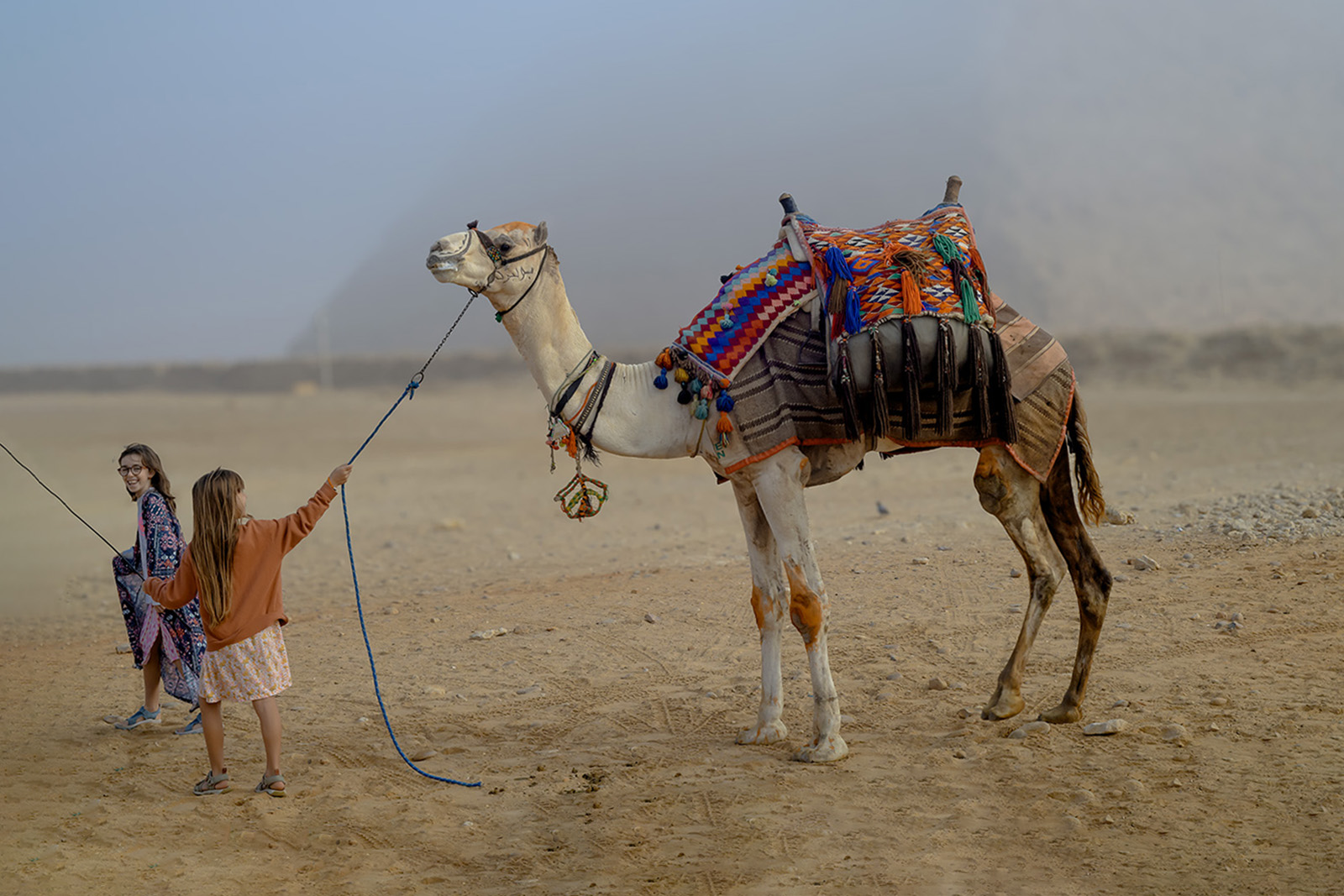 Reluctant Camel by Paul Morrell — Score: 18 pts