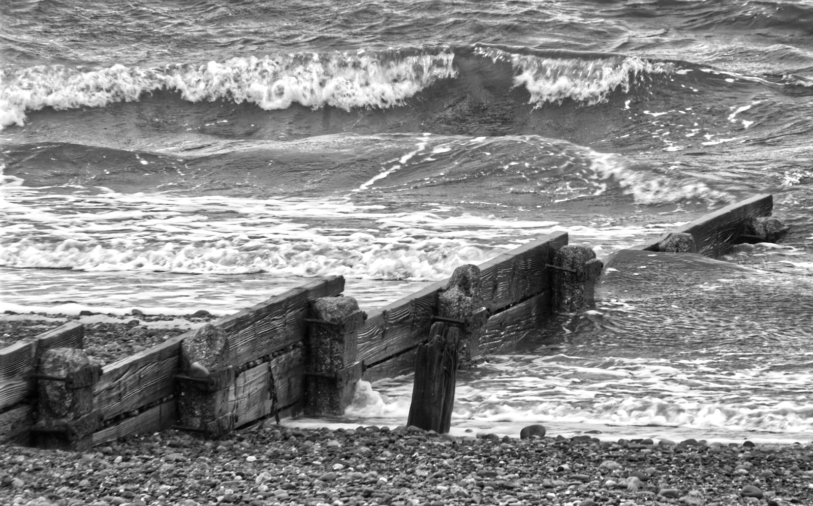 Seashore by David Webster — Score: 14 pts