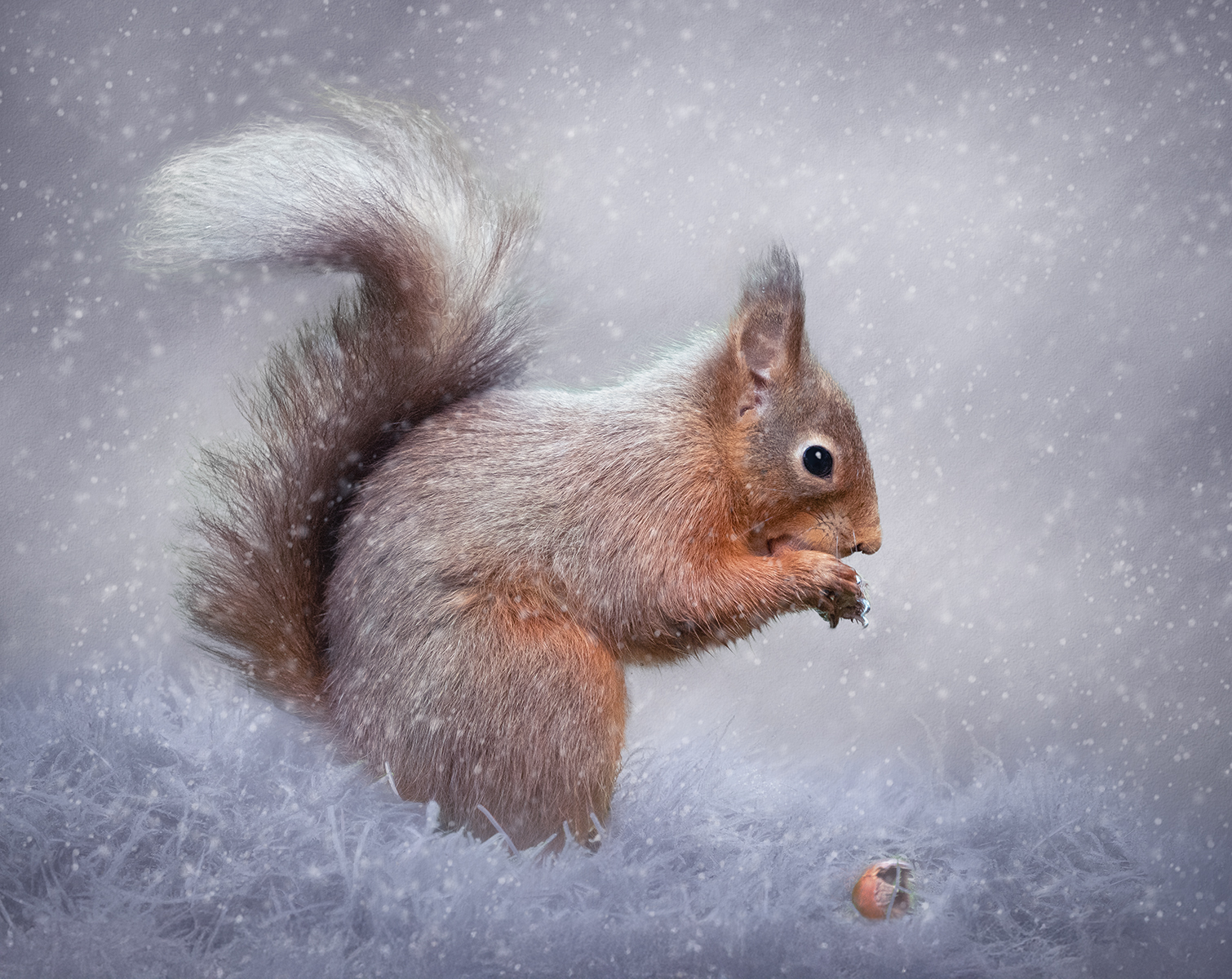 Finding Winters Store