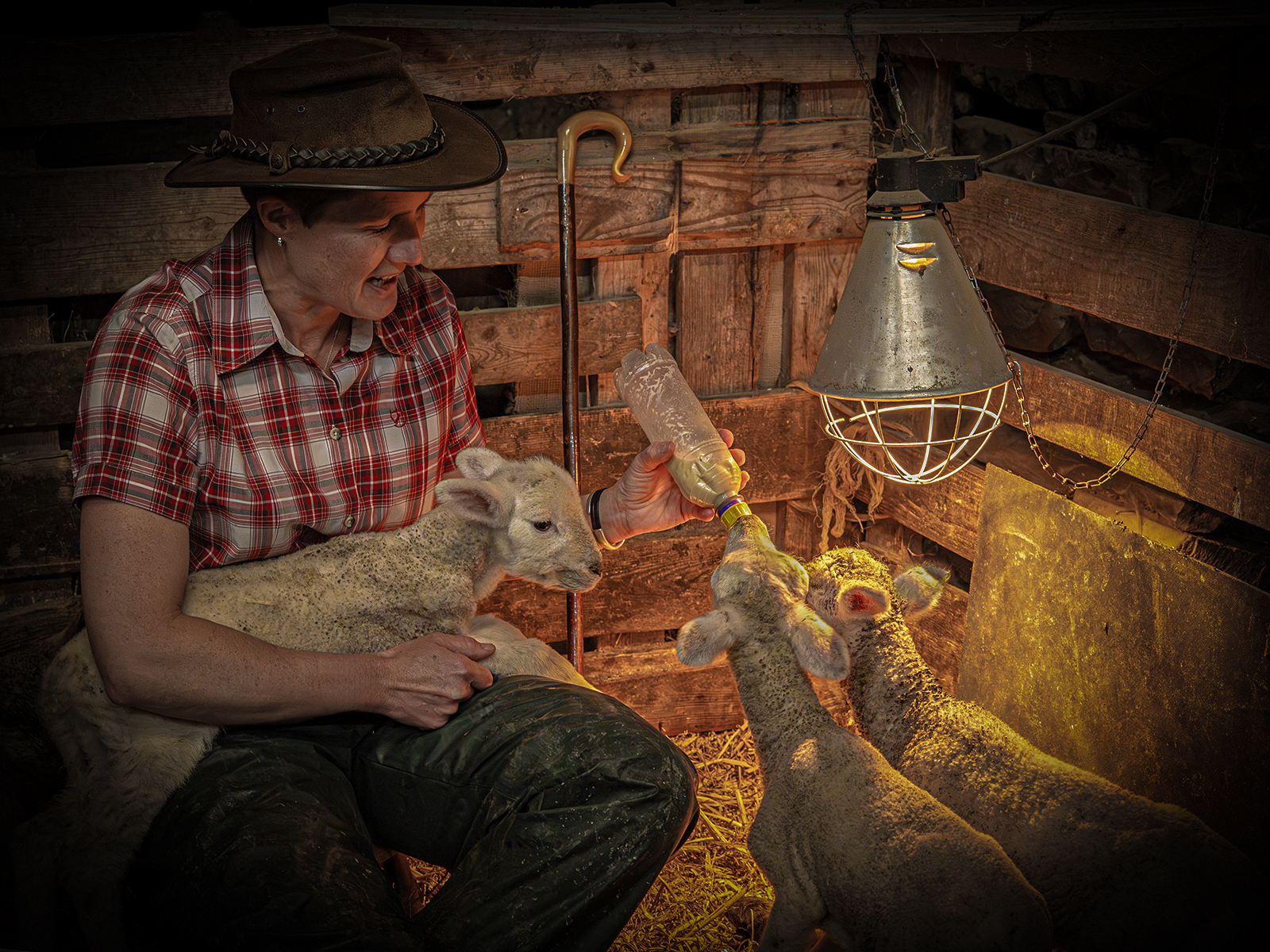 Orphans' Evening Feed by Sheila Giles — Score: 17 pts