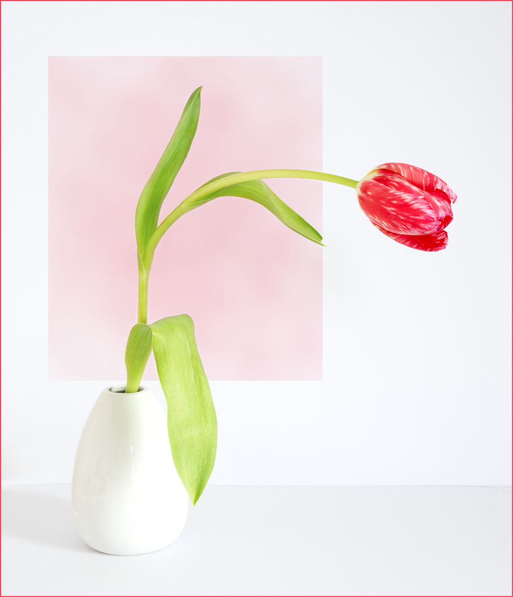 Leaning Into The Light by Joy Swarbrick — Score: 17 pts