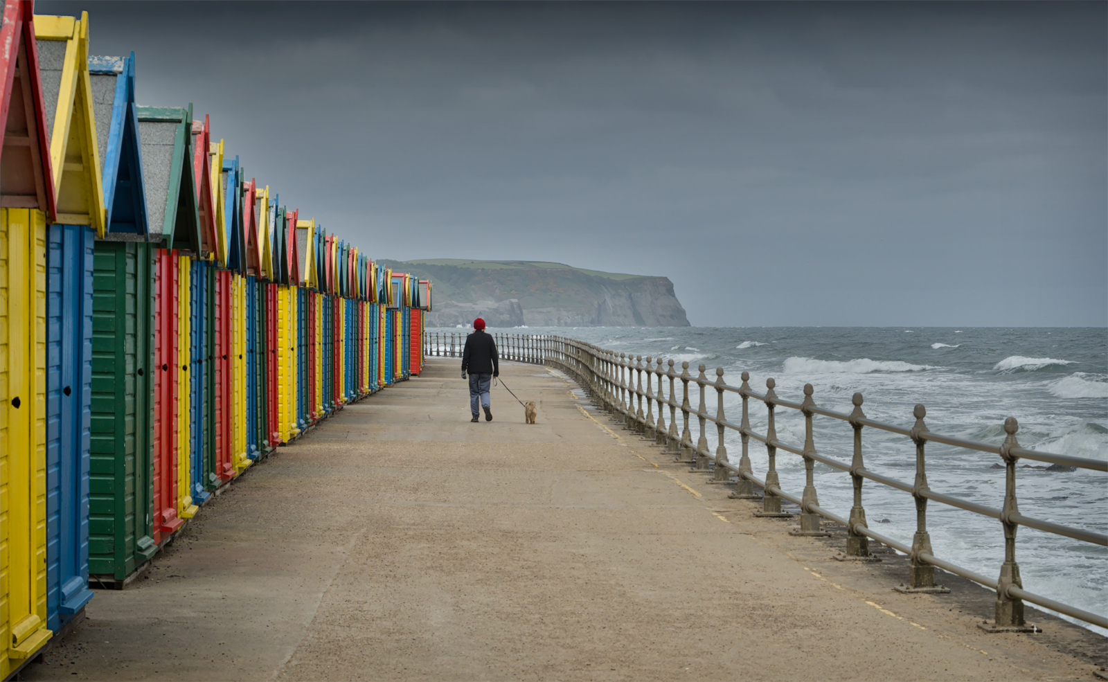 A Splash Of Colour On A Dreary Day by Christine Round — Score: 16 pts