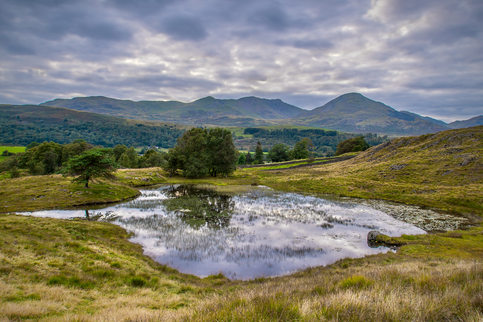 Kelly Hall Tarn by Chris Taylor — Score: 16 pts