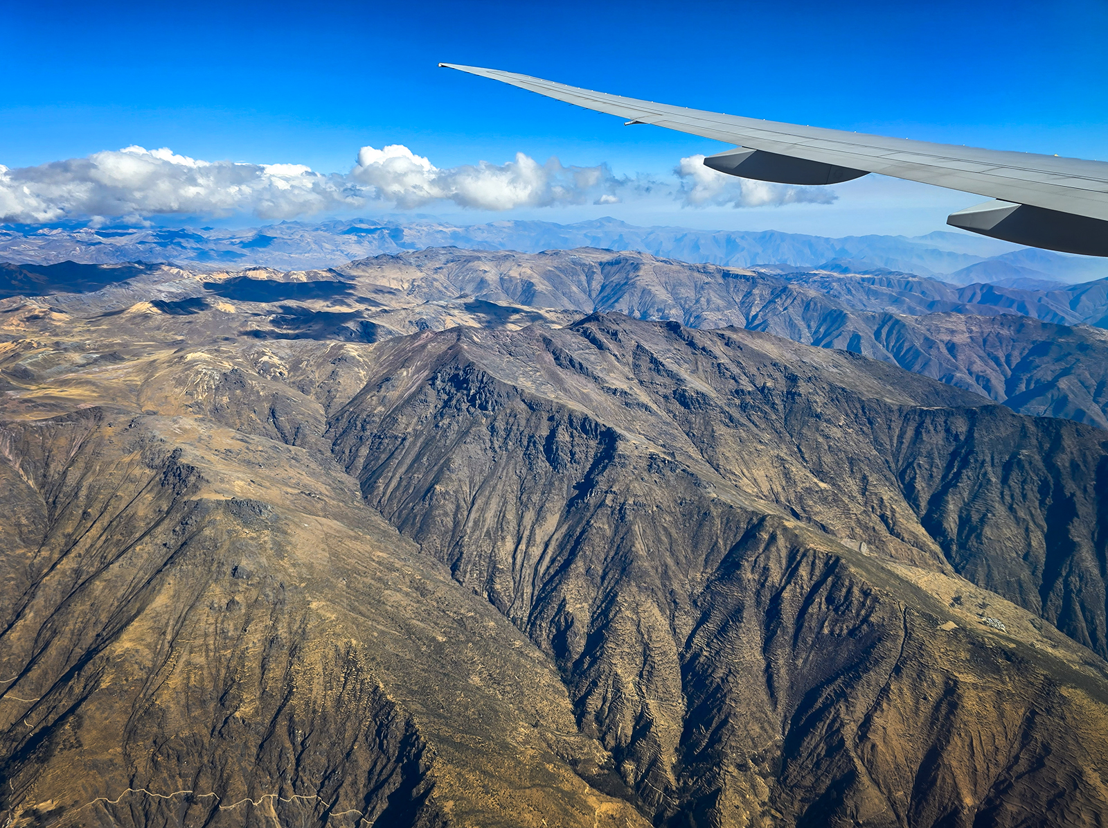 Andes Experience by Andy Ogilvie — Score: 17 pts