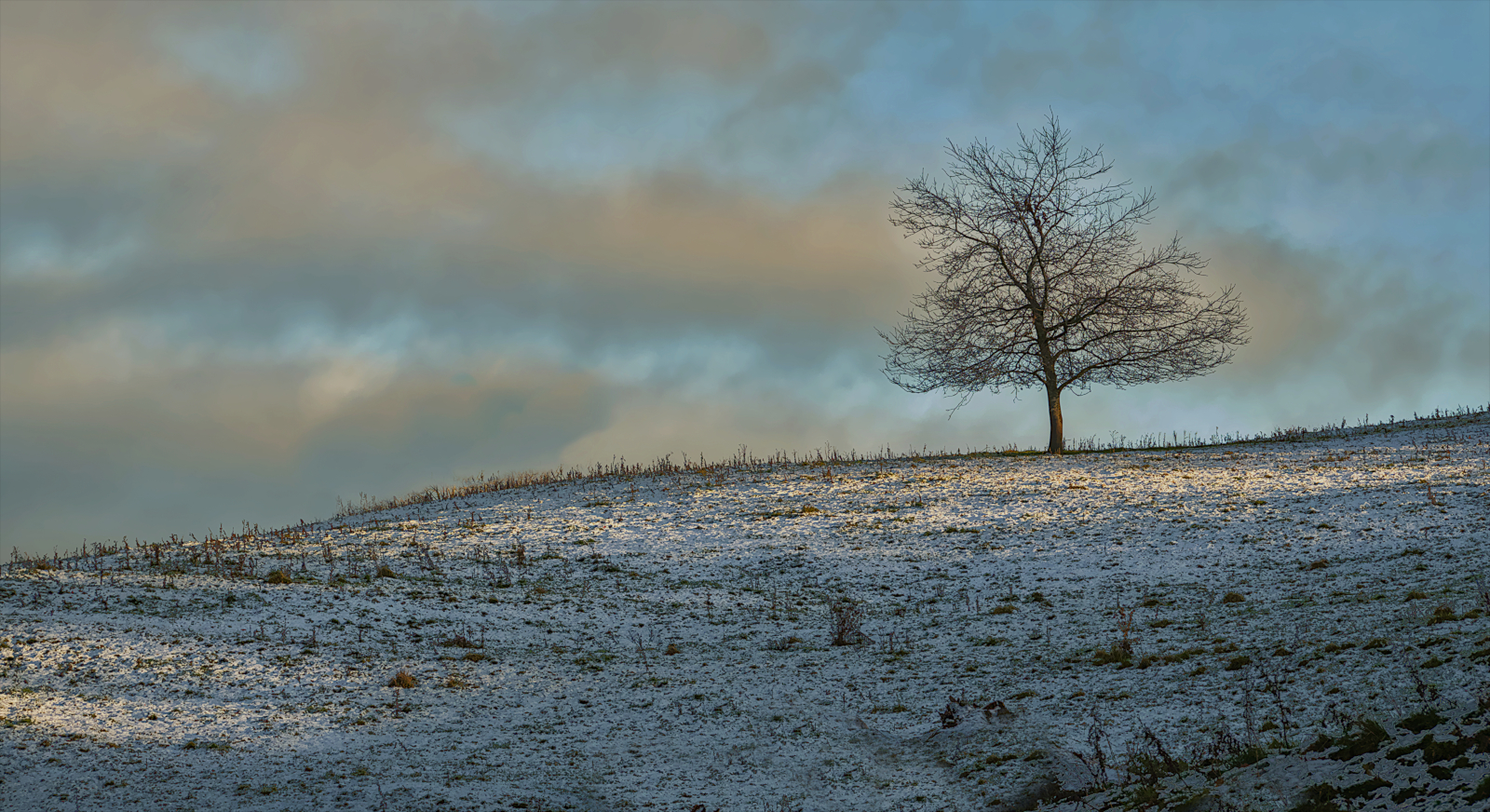 The Gentle Warmth Of Winter Sun by Christine Round — Score: 16 pts