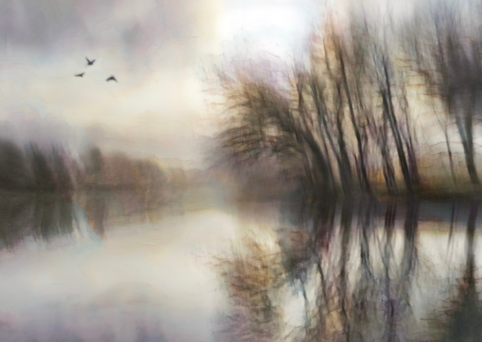 Misty Fairhaven Morning by Peter Flegg — Score: 20 pts