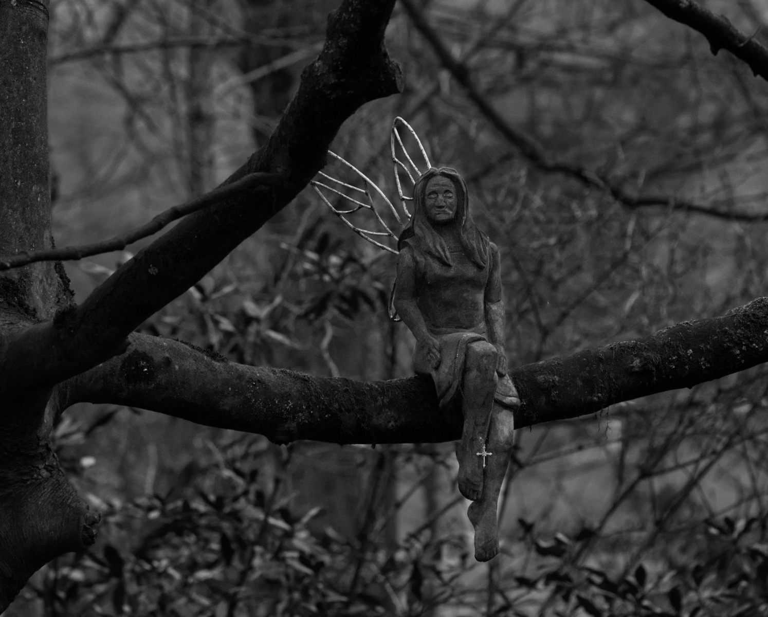 The Tree Fairy by Grant Douse — Score: 17 pts