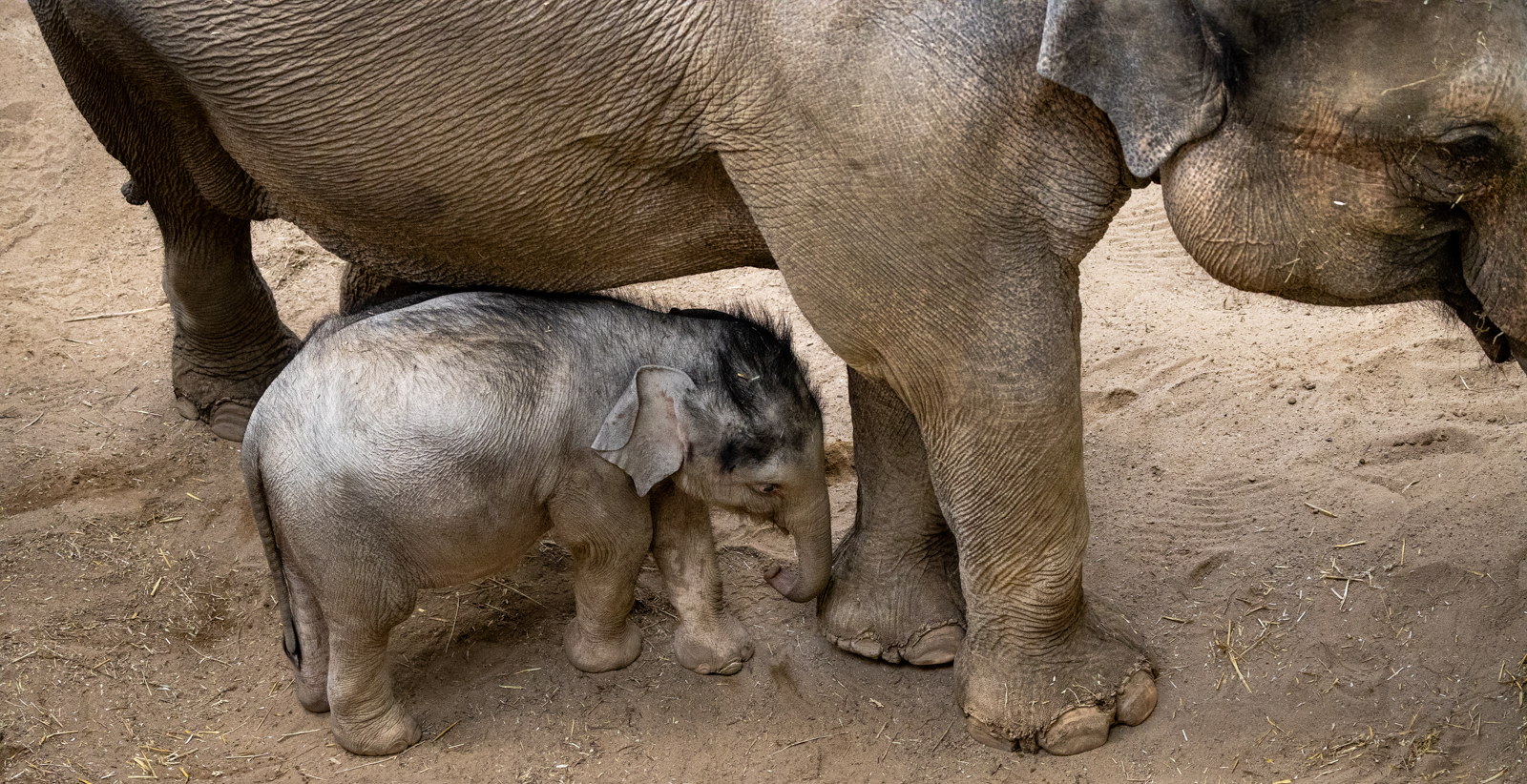 In A Safe Place by Peter Darby — Score: 18 pts