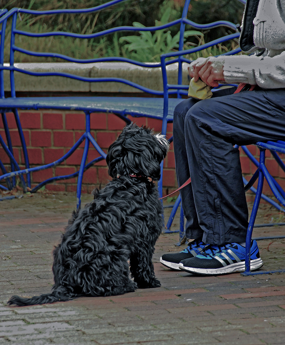 Treat Please by Mike Stanley — Score: 16 pts