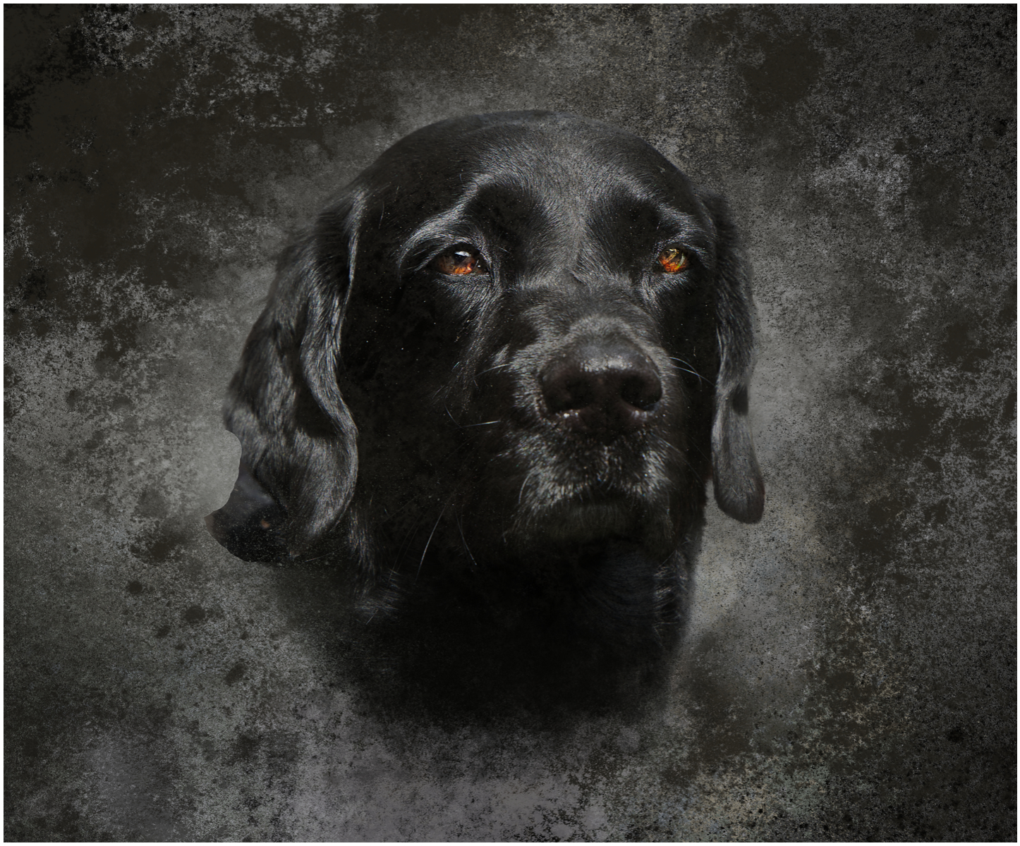 My Boy by Esther Parkinson — Score: 16 pts