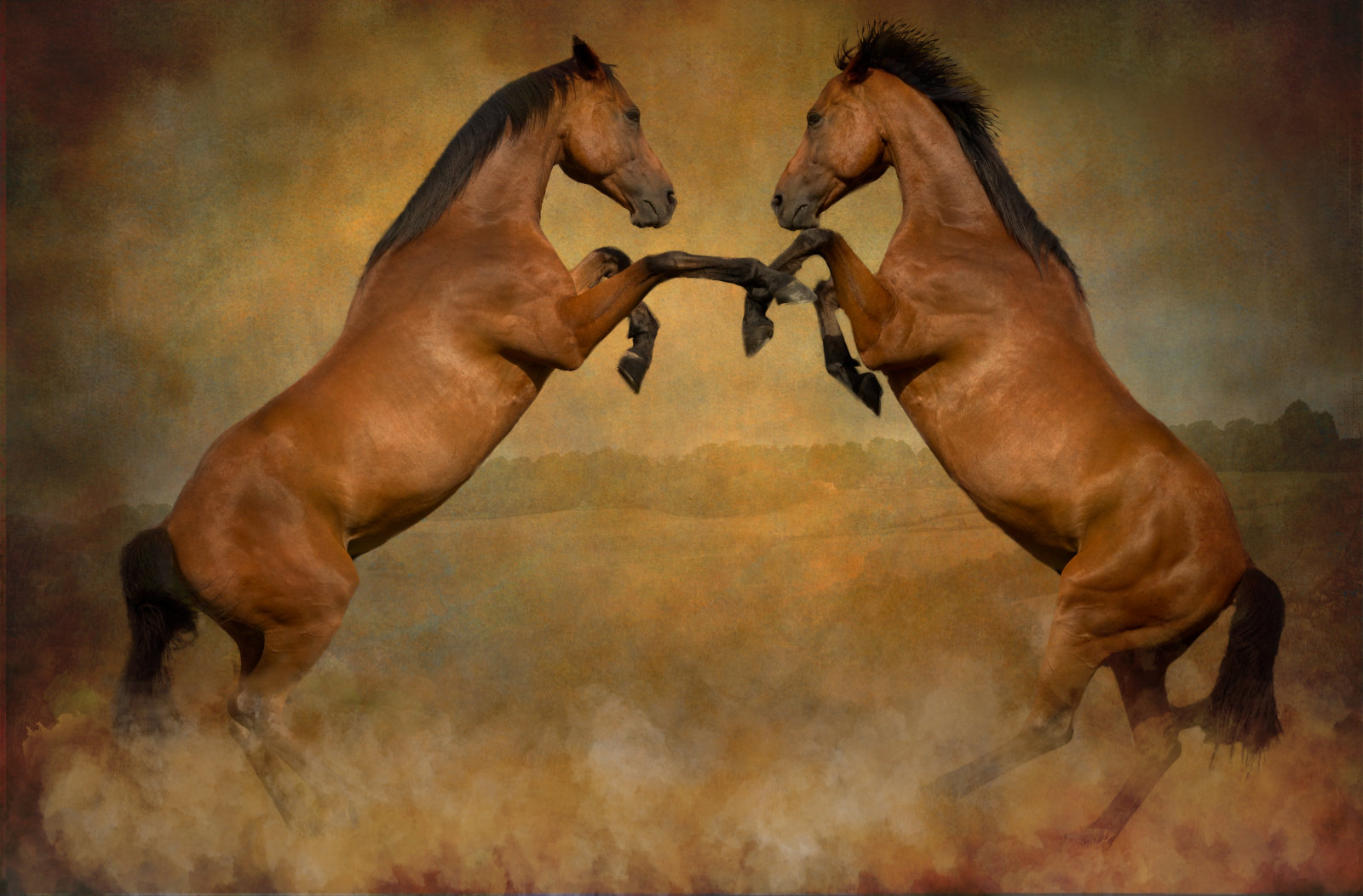 The Duel by Esther Parkinson