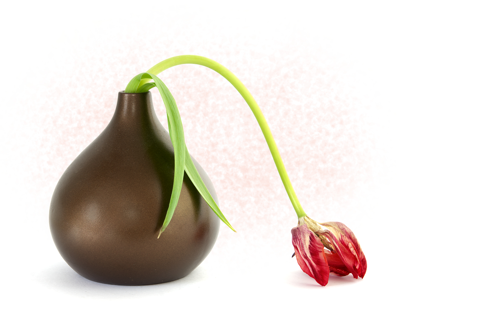 Exhaustion by Joy Swarbrick — Score: 16 pts