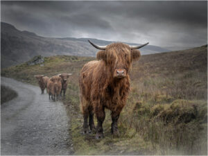 3rd Open Print Competition (2025/26)