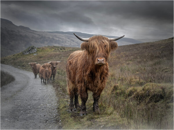 3rd Open Print Competition (2025/26)