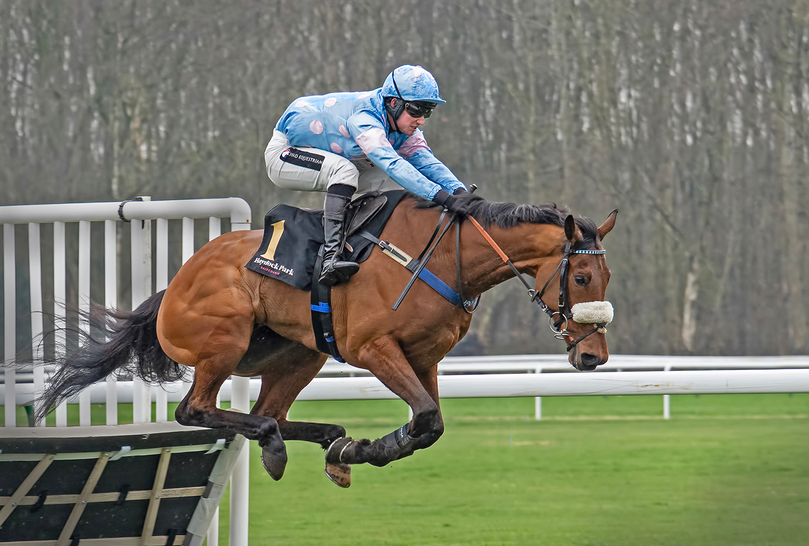 Bunnyhopping by Brian Clark — Score: 17 pts