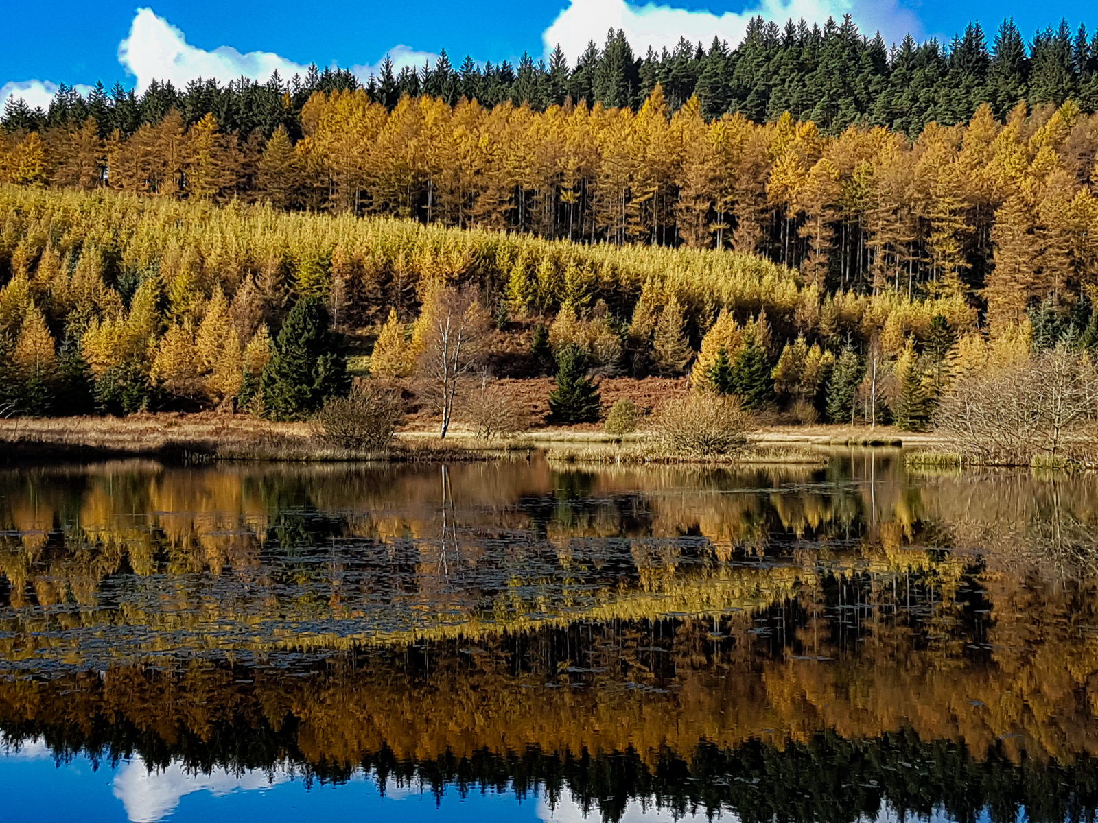 Autumn Reflections by Paul Headley — Score: 17 pts