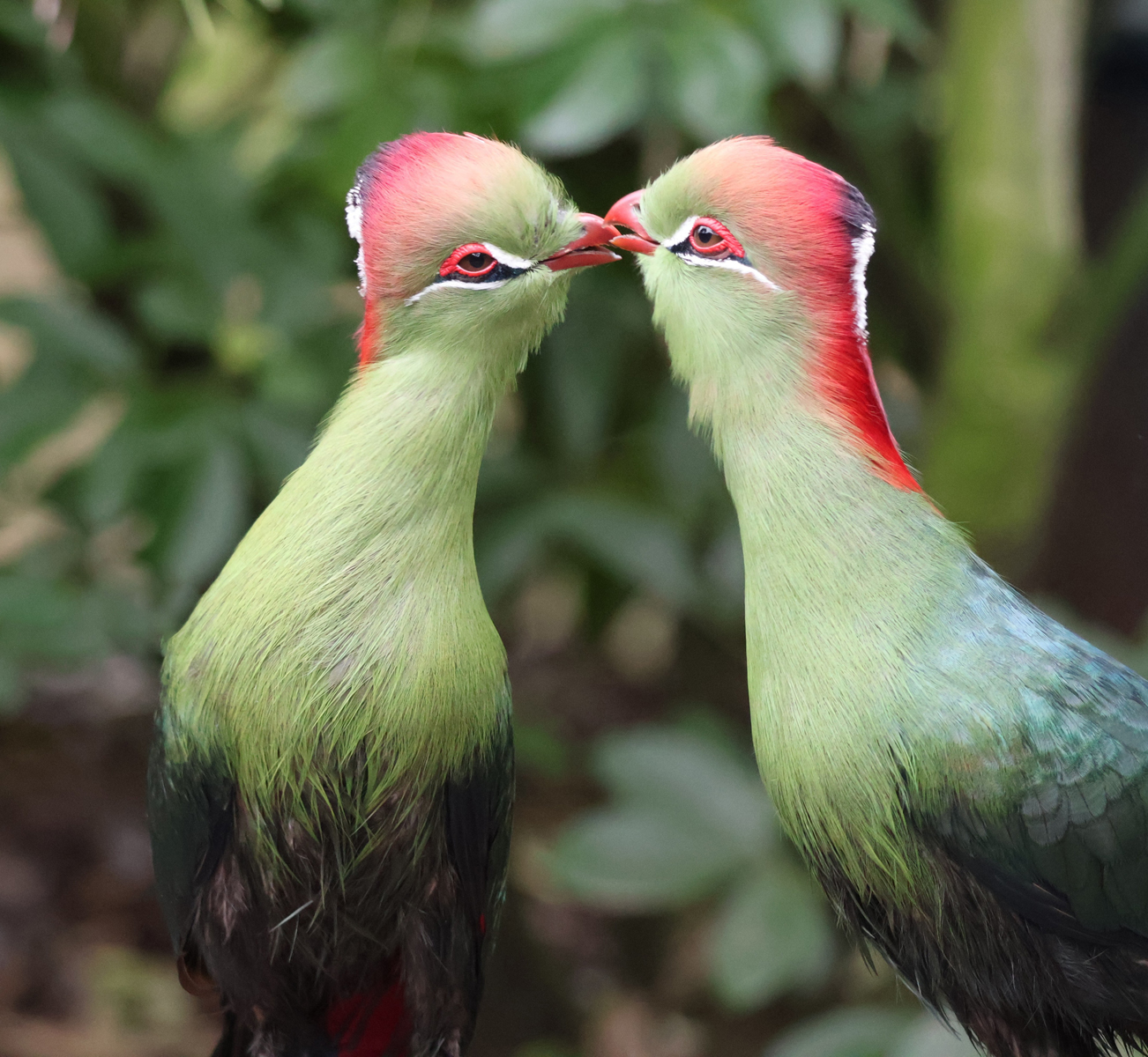 Love Is In The Air by Janet Parker