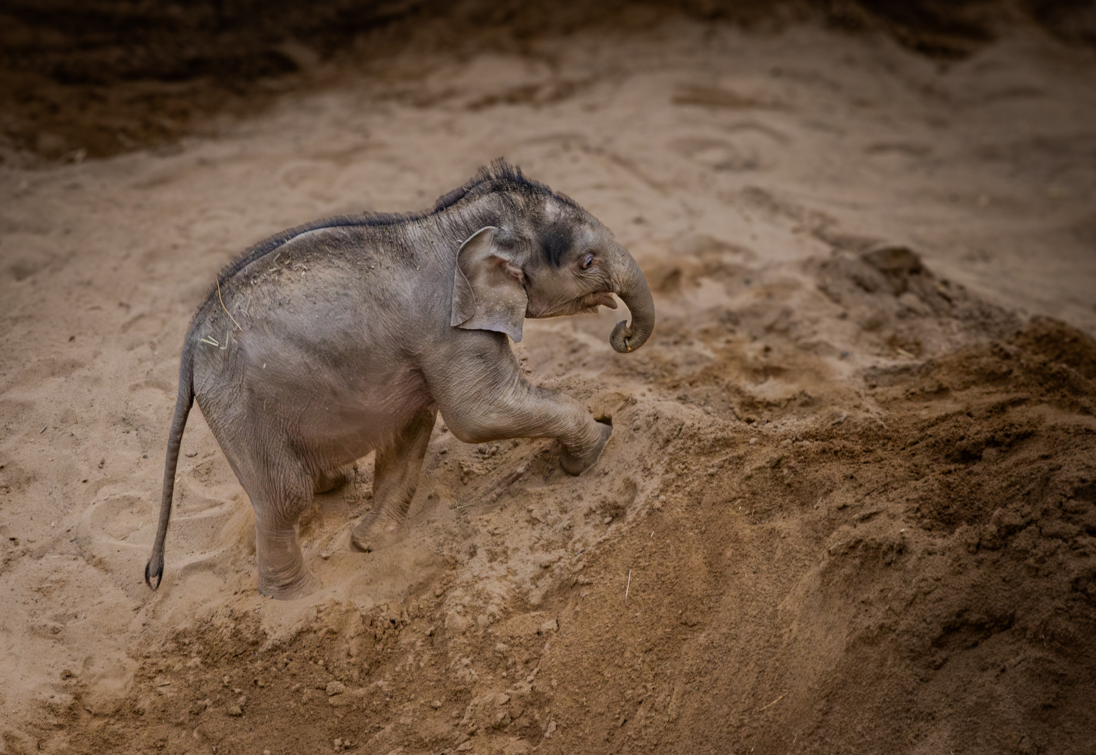 Having Fun by Peter Darby