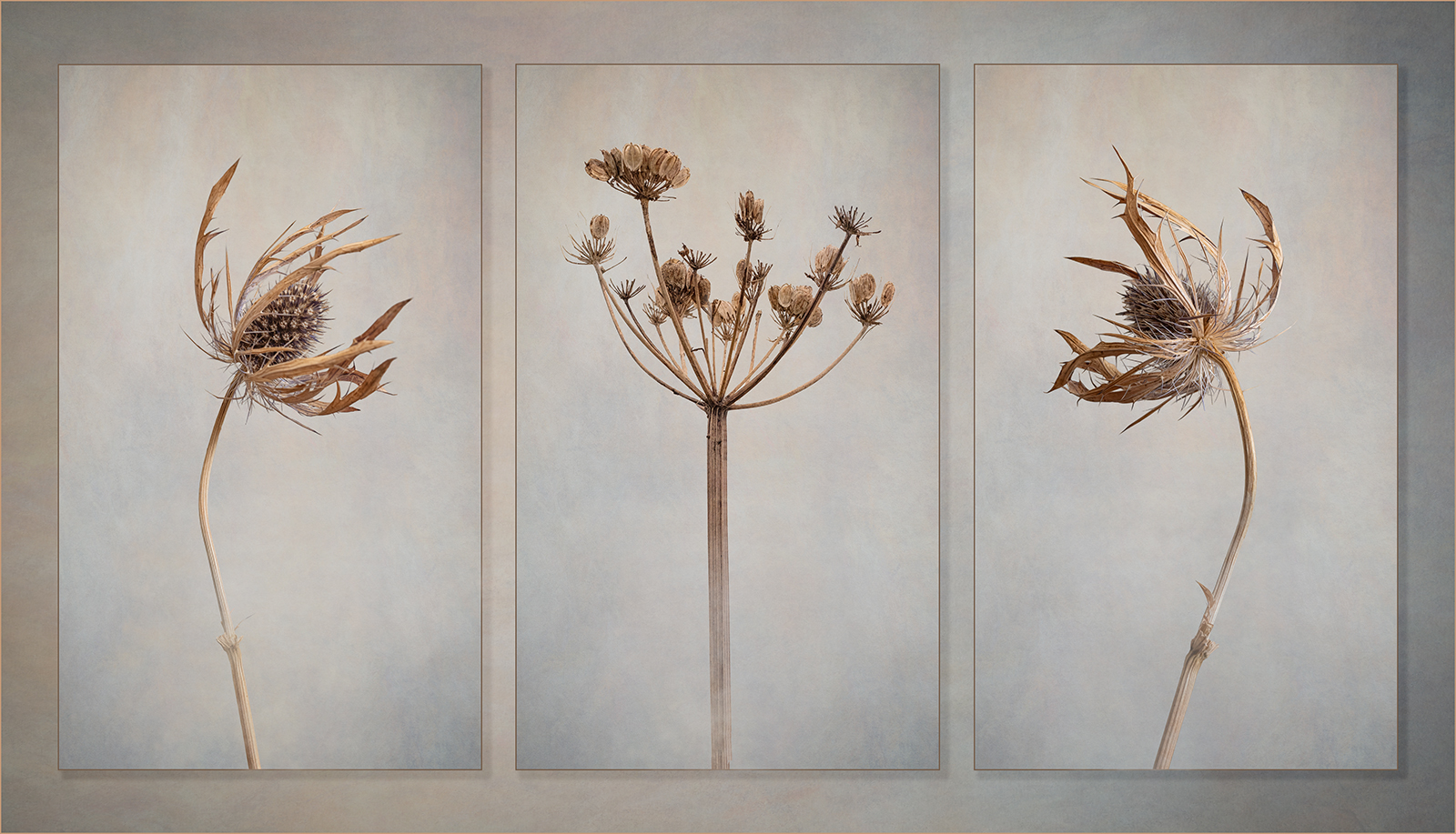 Turning To Seed by Carol Watson