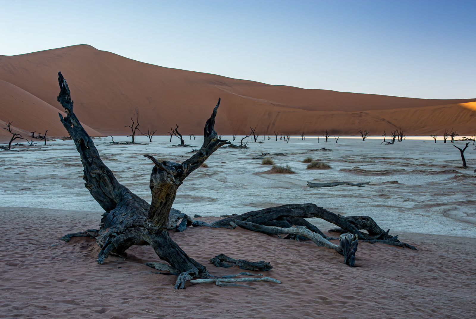 Dawn Creeping In On Deadvlei Namibia by Mary Kirkby