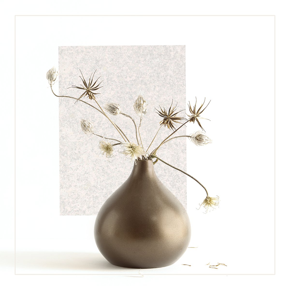 Highly Commended in Colour Print - Seedheads by Joy Swarbrick
