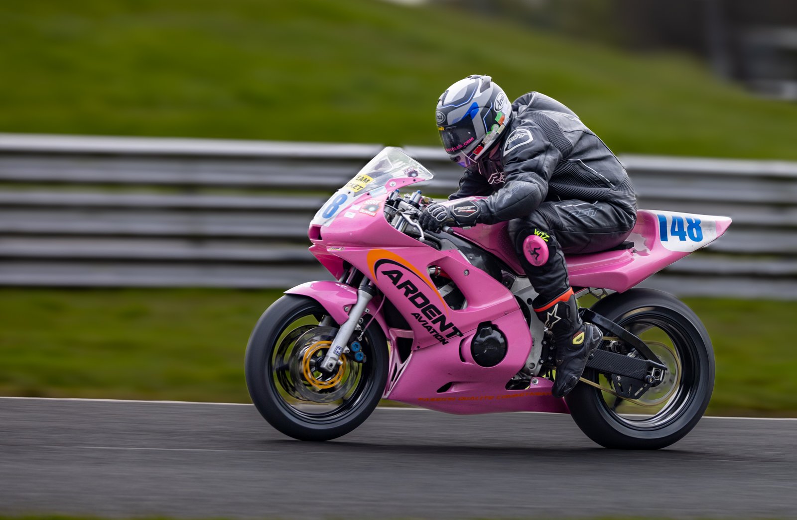 Commended in Colour Print - 148 In The Pink by Peter Darby
