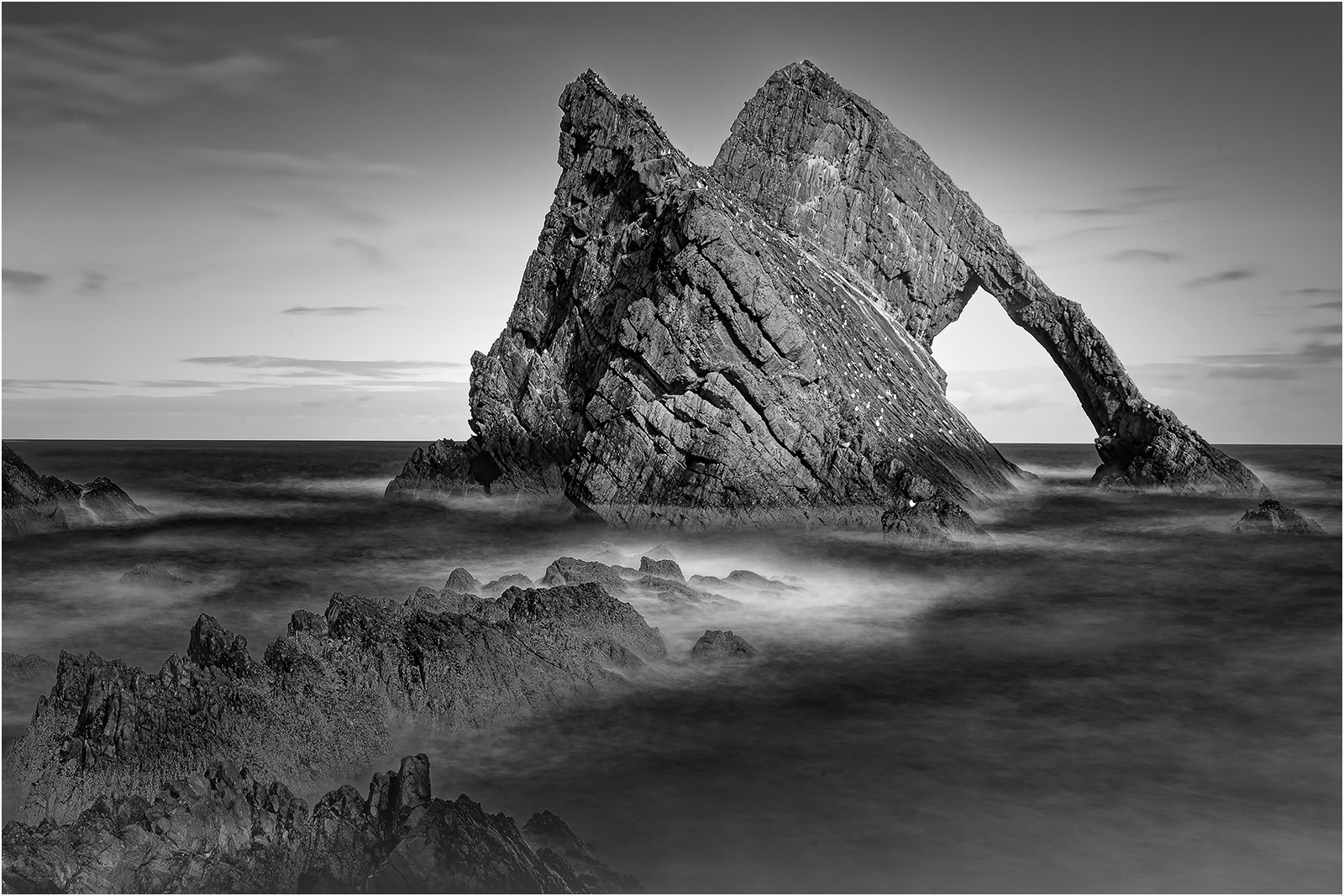Commended in Mono Digital - Gulls On Bow Fiddle Rock by Mike Williamson