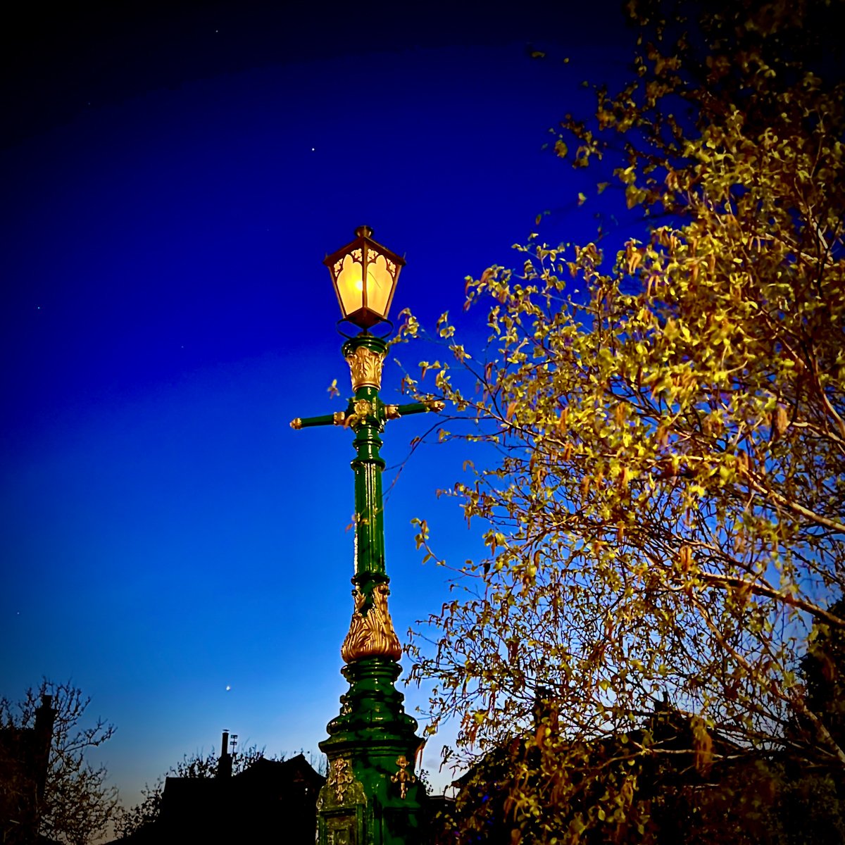 Streetlight by Paul Headley