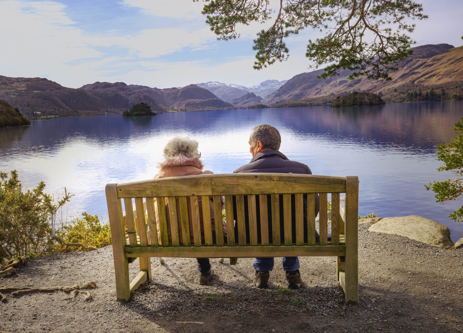 Enjoying The View by Karen Jackman