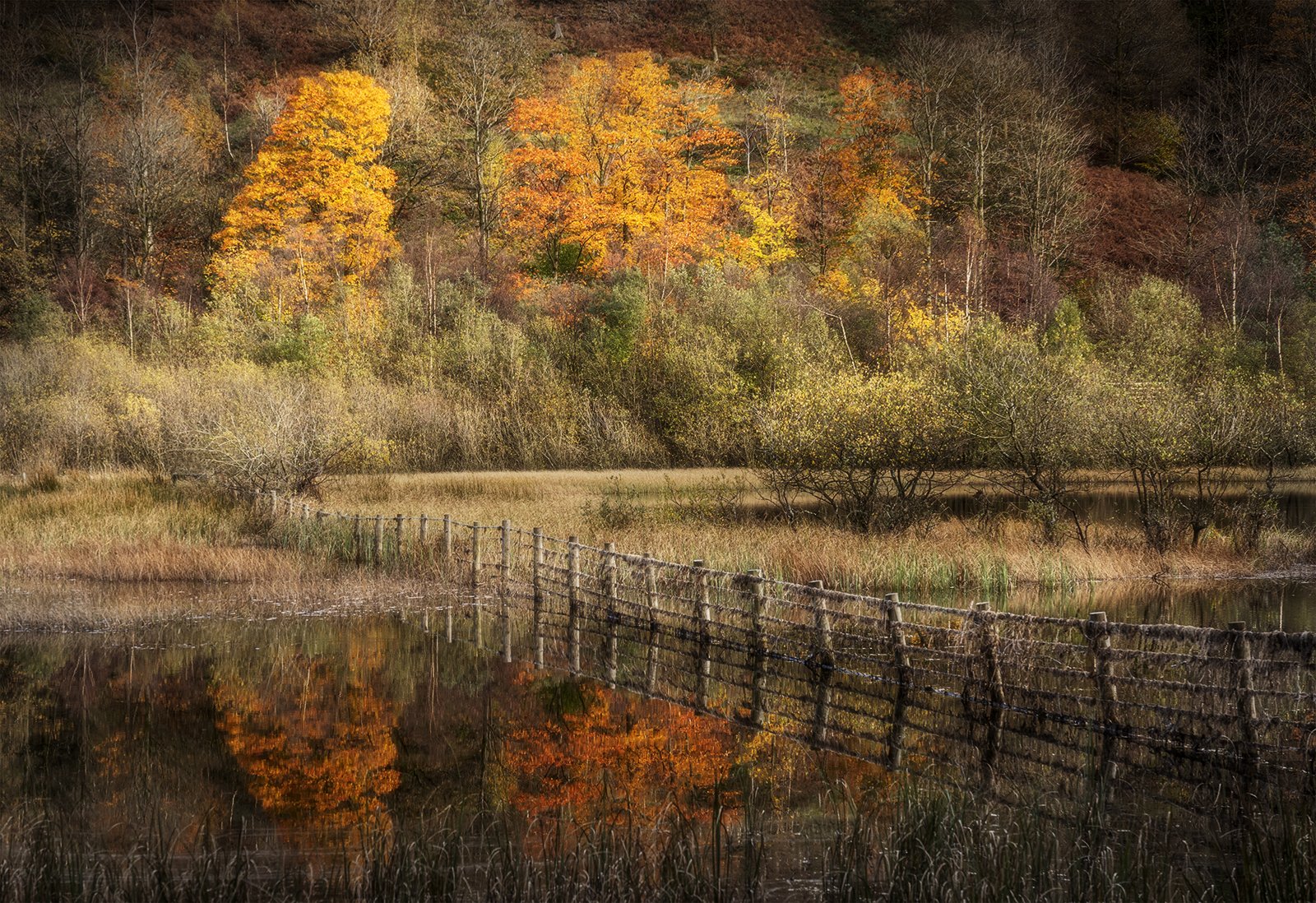 Commended in Scapes Print - Autumn Colour Yewtree Tarn by Martin Christensen