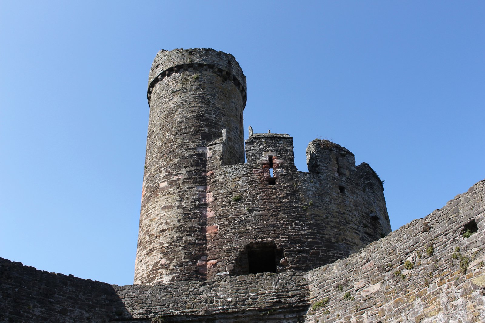 Detail Conwy Castle by Mary Woodland