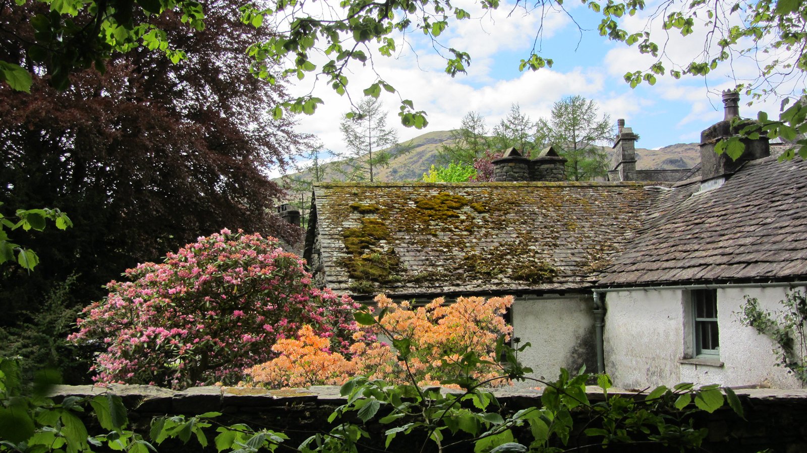 Lake District Spring by Mary Woodland