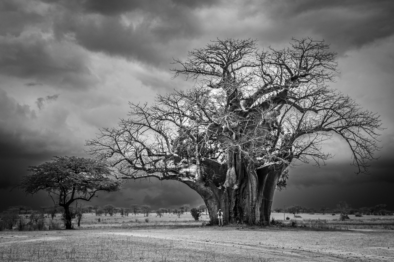 Commended in Mono Digital - Oblivious Of Approaching Storm by Mary Kirkby