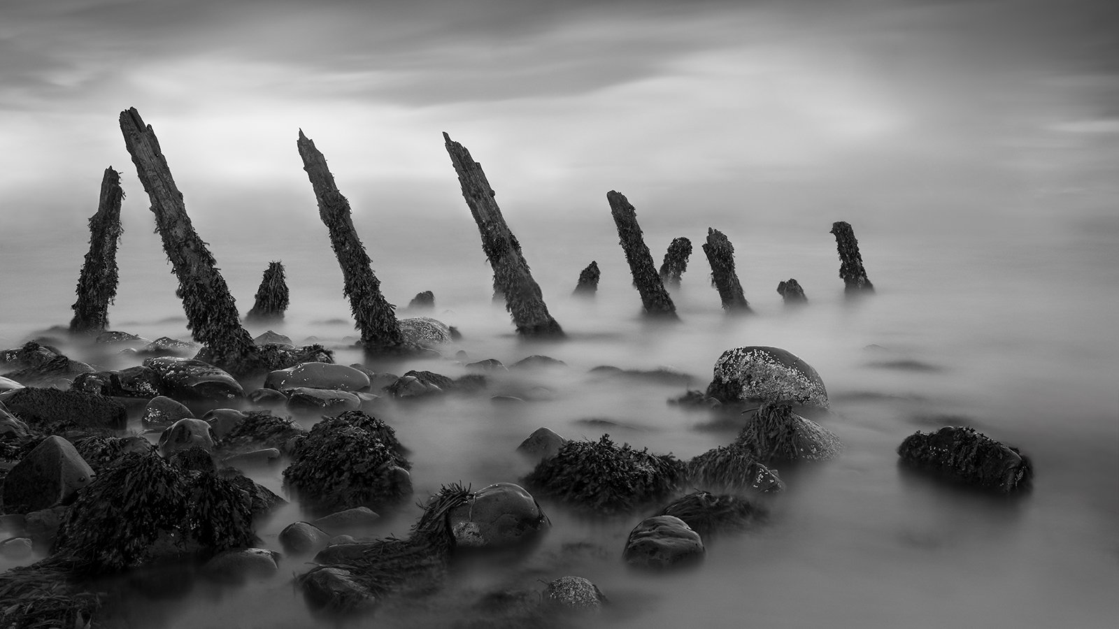 Highly Commended in Mono Print - Still Standing by Keith Orr