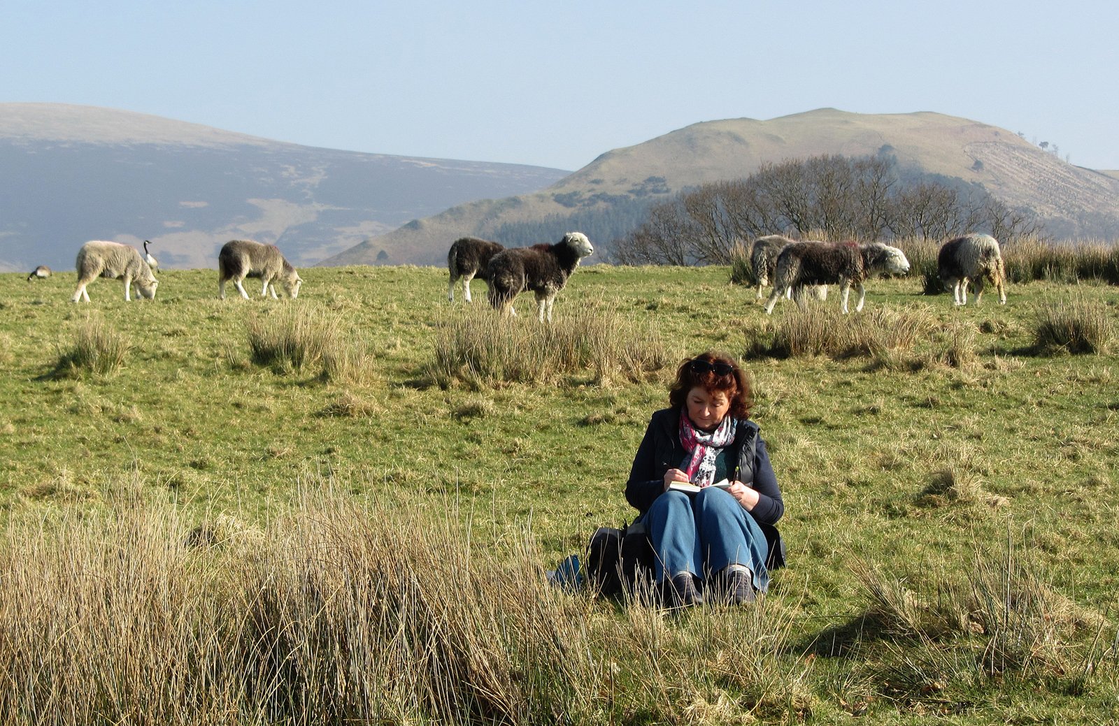 The Artist On The Hill by Mary Woodland